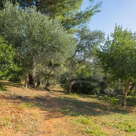 Casa Pavel A Colle Di Lido - Goelba *